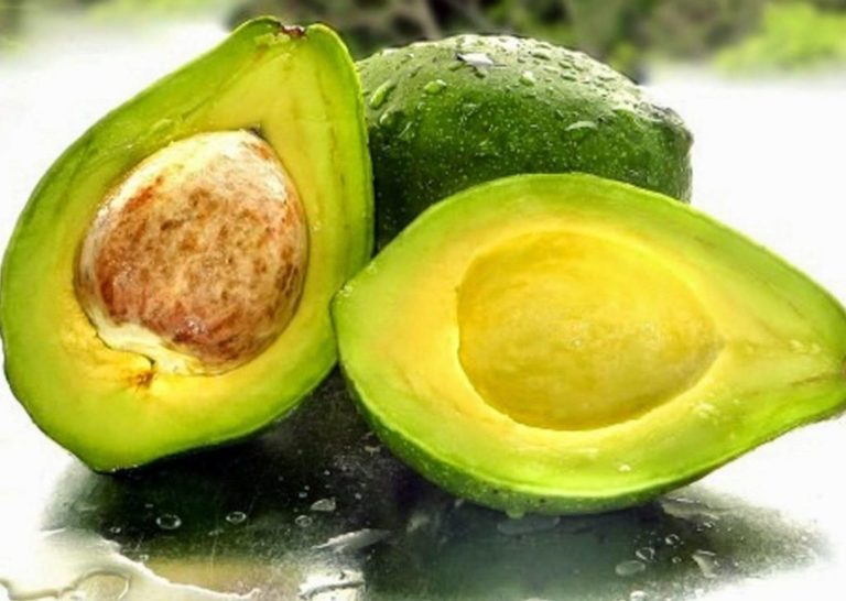 ¿Qué son las grasas alimenticias?