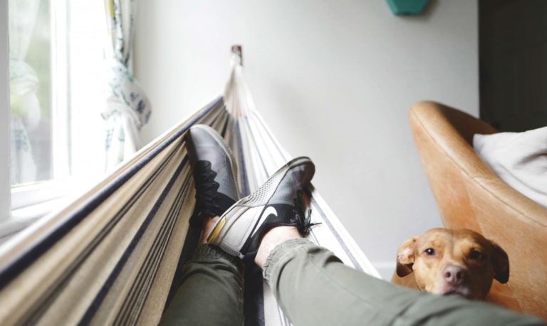 2017: El año del descanso