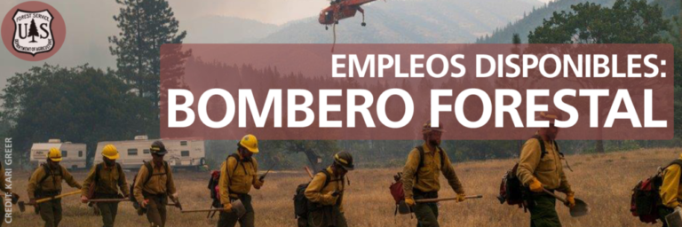 Necesitan trabajadores en Servicio Forestal en Arizona, Nuevo México y Oklahoma