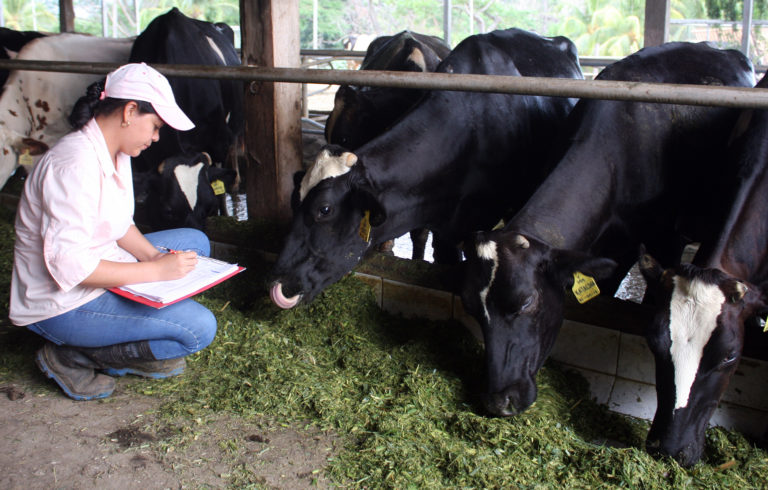 Jéssica Santos, fuerte, guerrera y esencial en la agricultura y ganadería