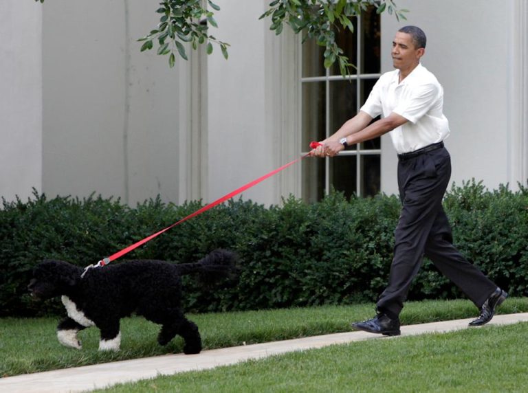 Barack Obama se despide de su perro Bo