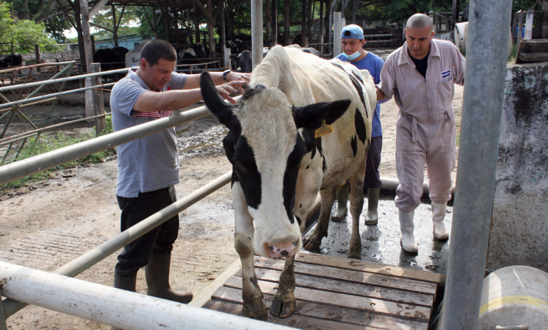 57 años formando agrónomos en El Salvador