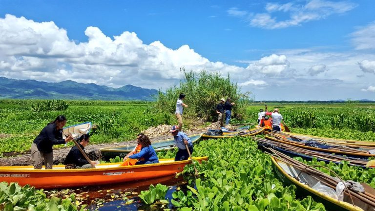 EE.UU. destina $20 millones a ONGs que protegen el medio ambiente en El Salvador