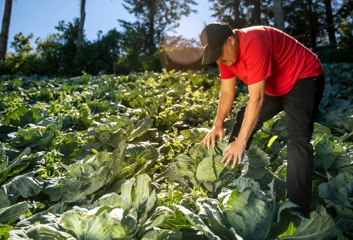 José Andrés Hernández: Tenemos talento humano para producir todos los alimentos que importamos