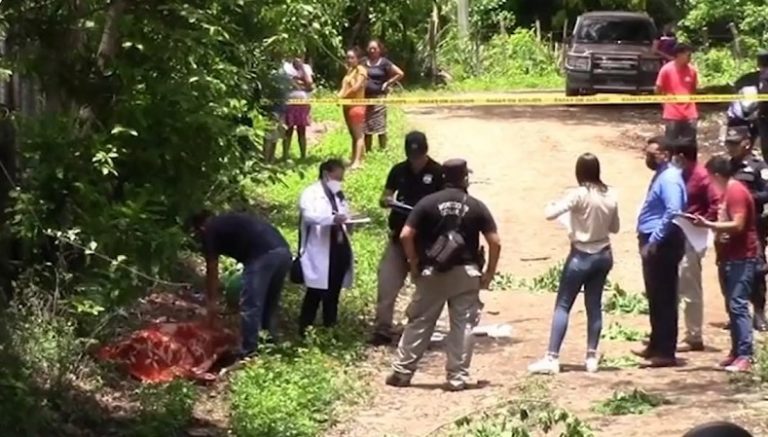 Mujer fallece tras ser atacada por jauría de Pit Bull y Rottweiler