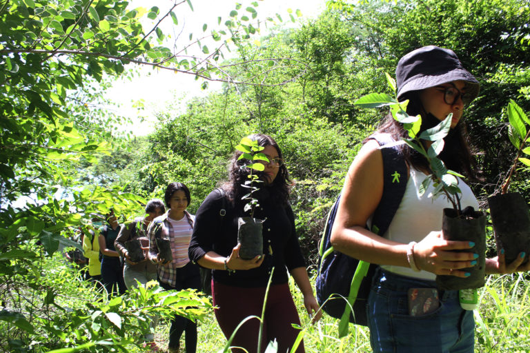 Universitarios reforestan para frenar destrucción ambiental