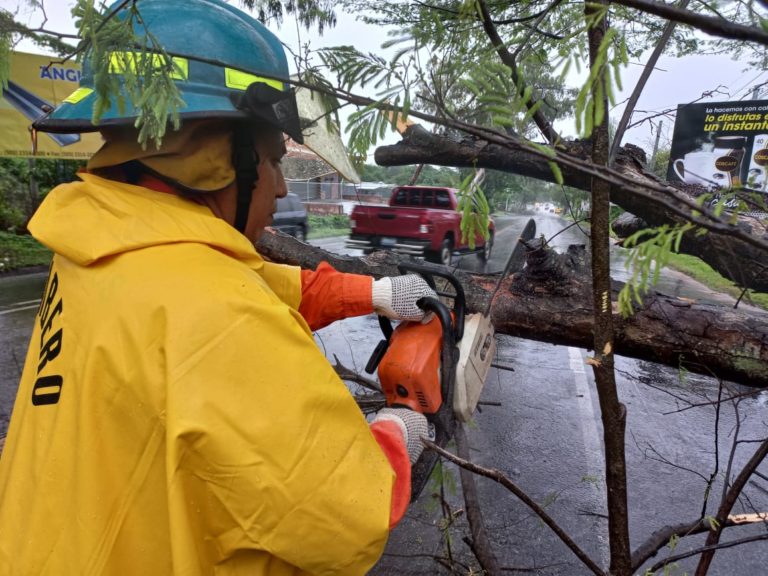 Árboles caídos, inundaciones y desprendimientos de tierra deja paso de onda tropical en El Salvador