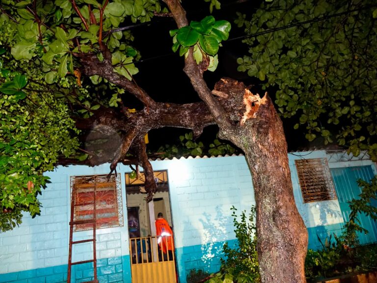 VIDEO | Calles inundadas y árboles derribados deja paso de onda tropical en El Salvador