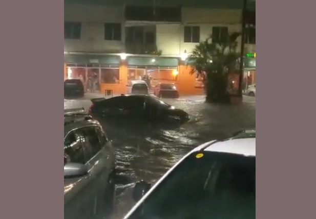 VIDEOS | Lluvias del martes por la noche dejó 88 árboles caídos y 56 viviendas afectadas