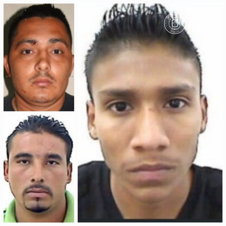 𝗖𝗼𝗻𝗱𝗲𝗻𝗮𝘀 𝗽𝗮𝗿𝗮 𝗽𝗮𝗻𝗱𝗶𝗹𝗹𝗲𝗿𝗼𝘀 𝗽𝗼𝗿 𝗵𝗼𝗺𝗶𝗰𝗶𝗱𝗶𝗼, 𝗲𝘅𝘁𝗼𝗿𝘀𝗶𝗼́𝗻 𝘆 𝗮𝗴𝗿𝘂𝗽𝗮𝗰𝗶𝗼𝗻𝗲𝘀 𝗶𝗹𝗶́𝗰𝗶𝘁𝗮𝘀