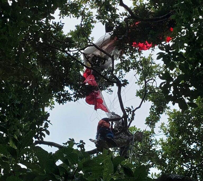 VIDEO | Rescatan a paracaidista atrapado en un árbol de Soyapango