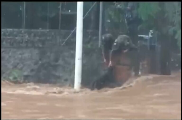 VIDEO | Soldados rescatan a perro de morir arrastrado por corriente de agua en La Unión