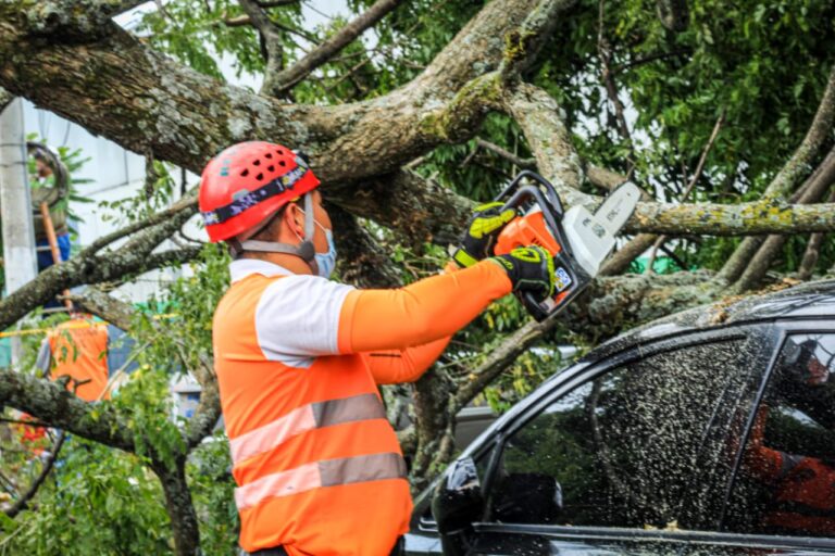 Árboles derribados y abundante lluvia deja la tormenta tropical Julia al pasar por El Salvador