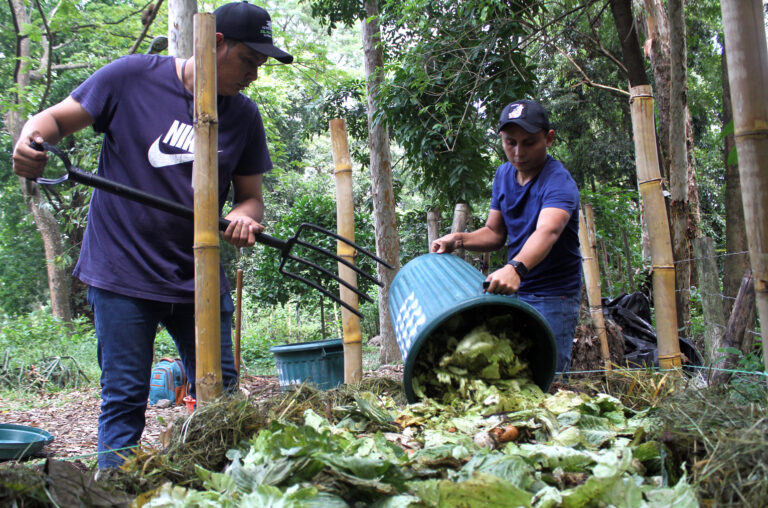Transforman residuos orgánicos en abono natural para ayudar al medio ambiente