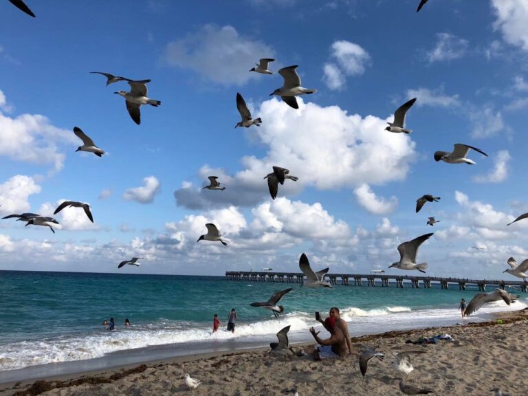 Realidad y desafíos de hogar