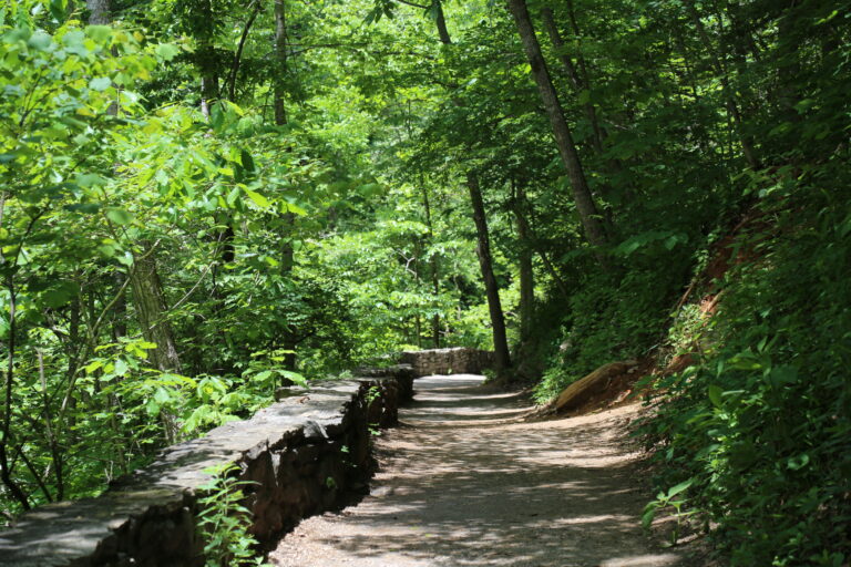 Aprender a vivir en un mundo en crisis