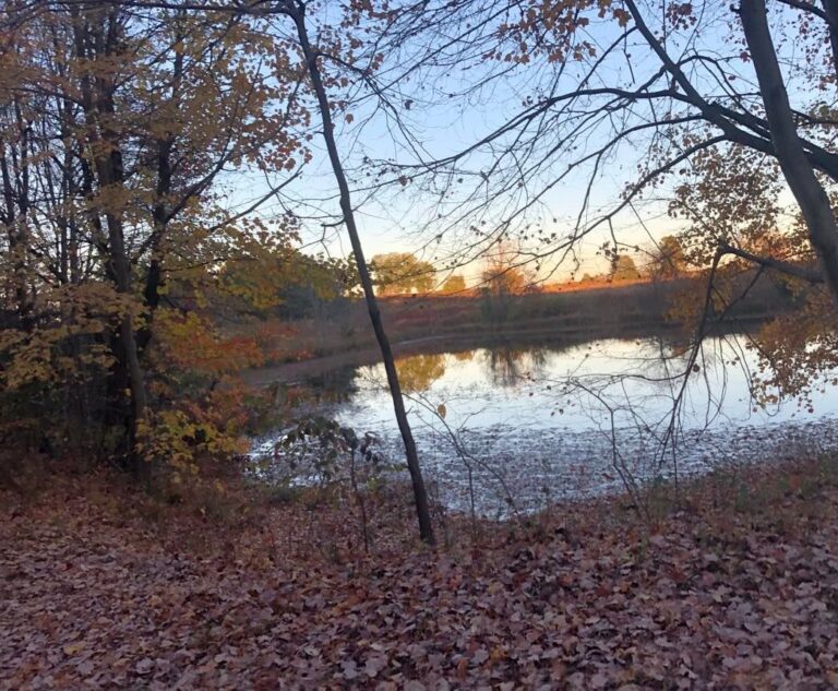 Un grito de esperanza