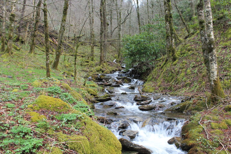 Novedad y asombro para despertarnos
