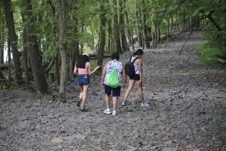 Posiciones de sustento y valentía