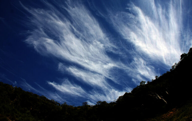 Corazones bucólicos