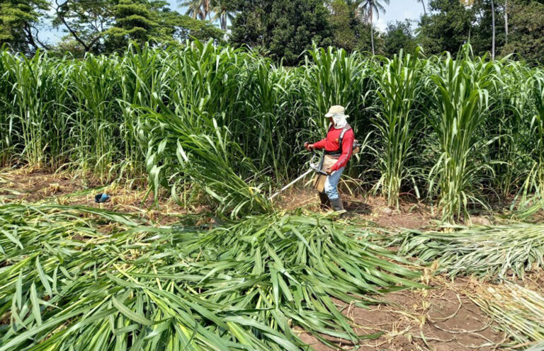 Actitud contemplativa