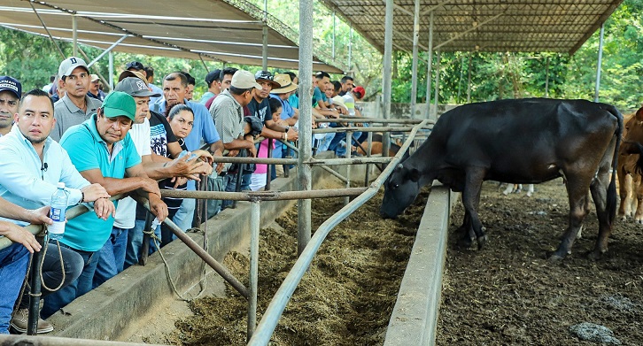 Diputados aprueban nueva ley que va a regular los tiangues en el país