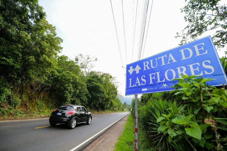 Luz verde a ley para reforestar zona turística Ruta de las Flores