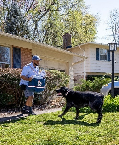 El Servicio Postal de los Estados Unidos publica el Ranking Nacional de Mordeduras de Perro