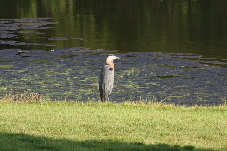 Esclavitud moderna y cambio climático; el compromiso de toda la ciudadanía