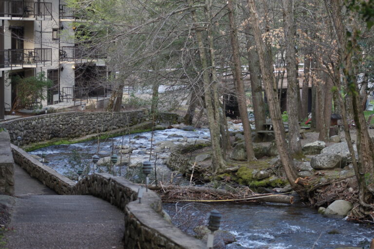 Ser pequeñas lámparas del Evangelio