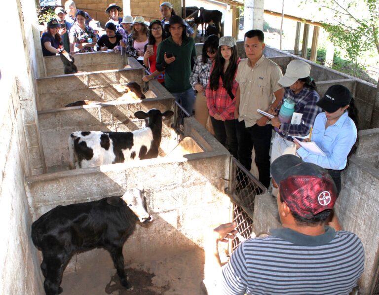 La ganadería, su rentabilidad, el pastoreo y el cambio climático