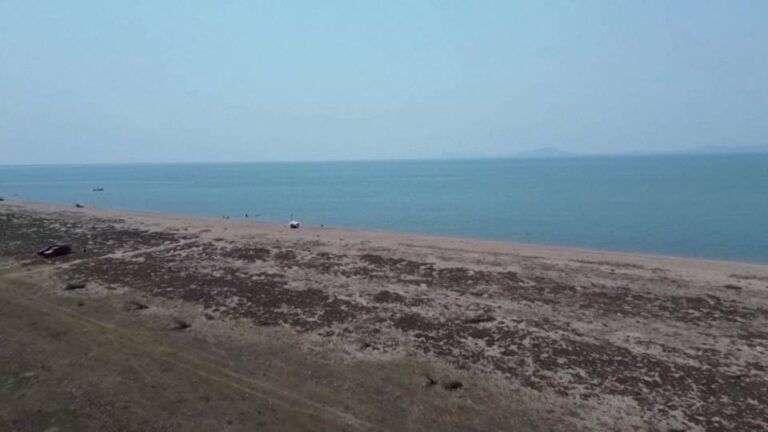 Encuentran los cadáveres de ocho inmigrantes chinos Oaxaca México