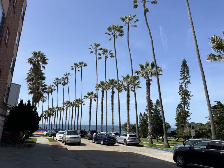 Proveer de espacio el mundo de las ideas