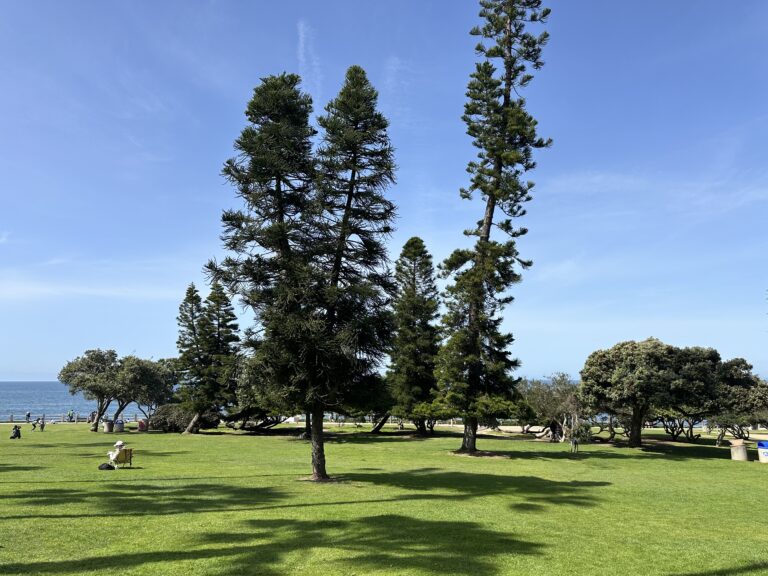 Cohabitar en alianza: un proceso de vida para la vida