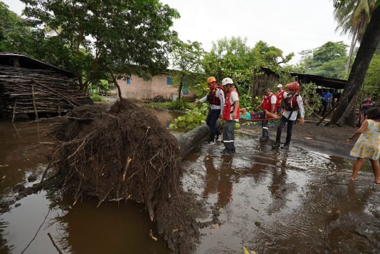 Mujer resulta lesionada tras caer un árbol en su vivienda en Puerto Parada, Usulután