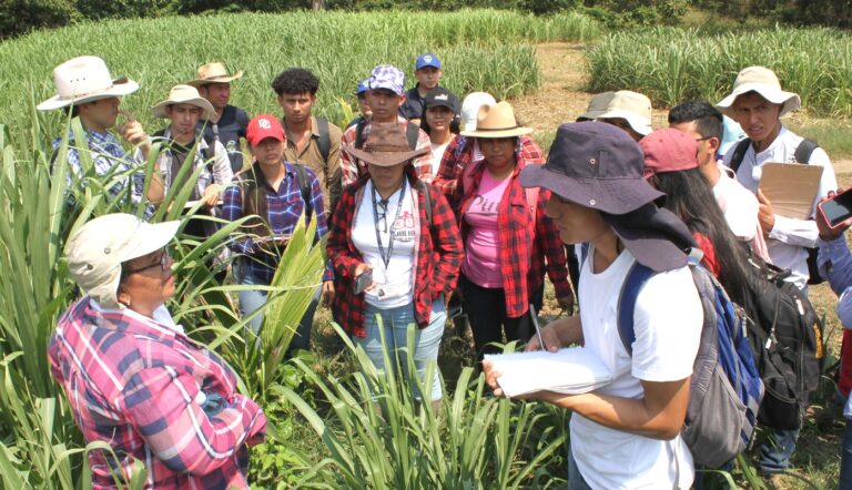 Futuros agrónomos salvadoreños se preparan con nueva tecnología para obtener una mejor producción ganadera