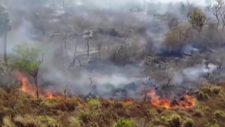 Incendios forestales de 2024 consumen una superficie récord de diez millones de hectáreas en Bolivia