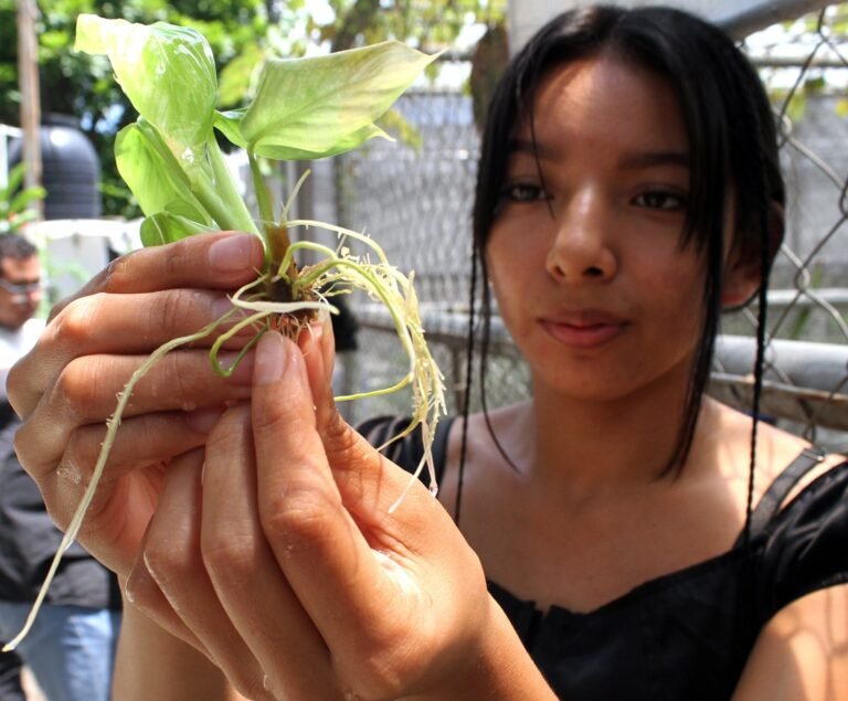 Estudiantes universitarios motivados por la reproducción de chufle