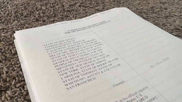 Una coalición de 22 estados presentan una demanda contra el intento de Trump de poner fin a la ciudadanía estadounidense por derecho de nacimiento