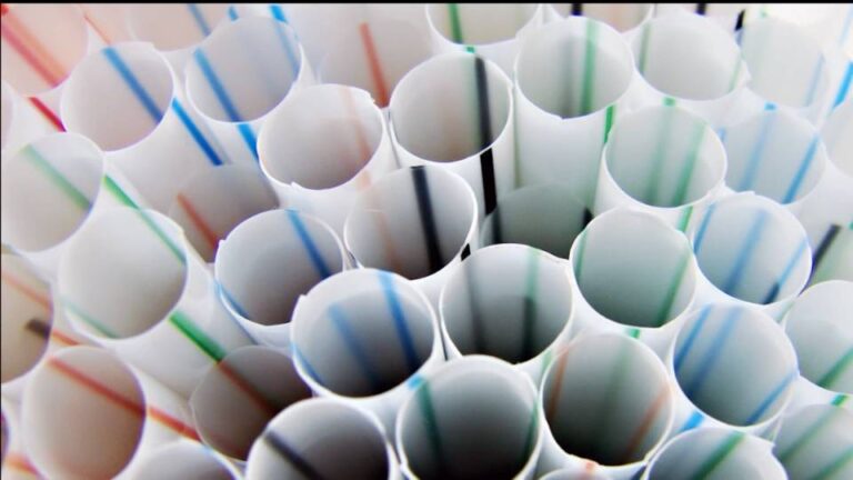 Trump revoca normas de la Agencia de Protección Ambiental destinadas al ahorro de agua y energía, y prohíbe los sorbetes de papel