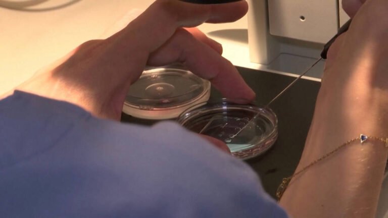 Los Institutos Nacionales de Salud de EE.UU. planean recortar 4.000 millones de dólares en investigación biomédica