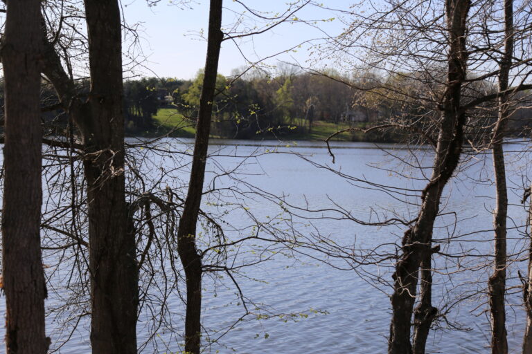 Espiral de errores y horrores