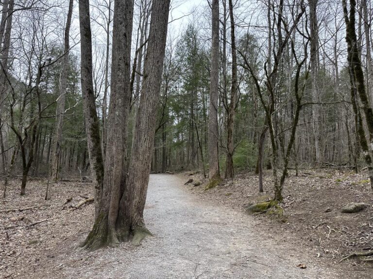 “En seis tribulaciones te librará, y en la séptima no te tocará el mal.”