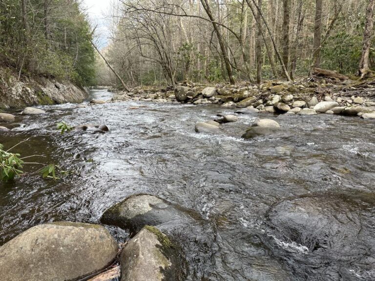 “En seis tribulaciones te librará, y en la séptima no te tocará el mal.”