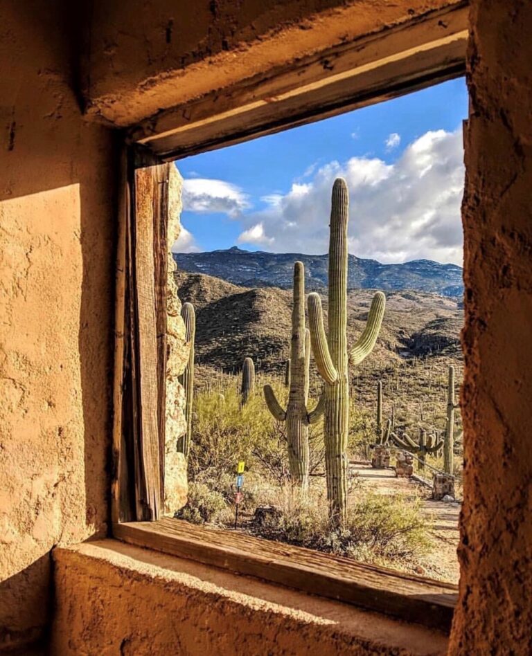 ¿Quién me ha tocado?