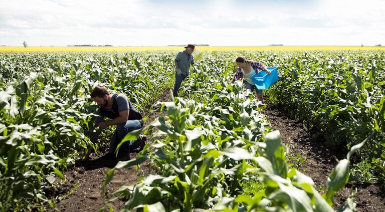 El desarrollo humano; en nuestro espacio y en nuestro tiempo