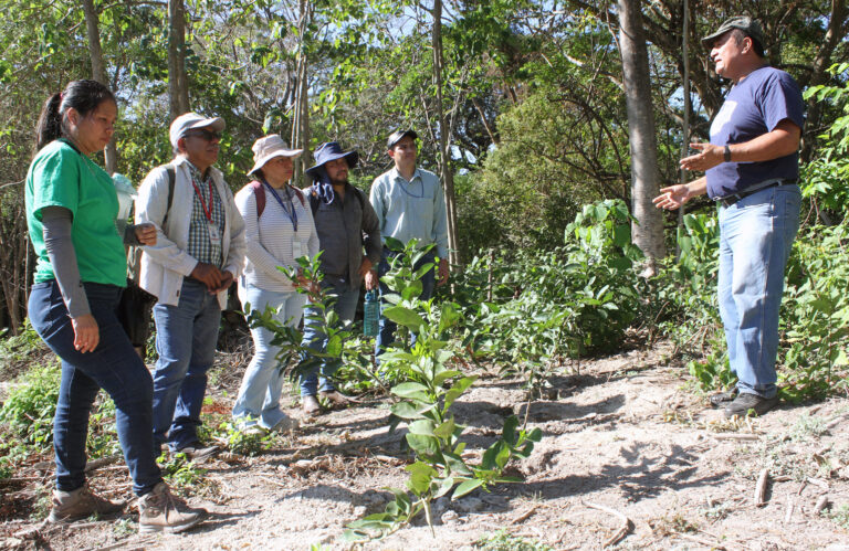 Proyecto de seguridad alimentaria y nutricional en El Salvador