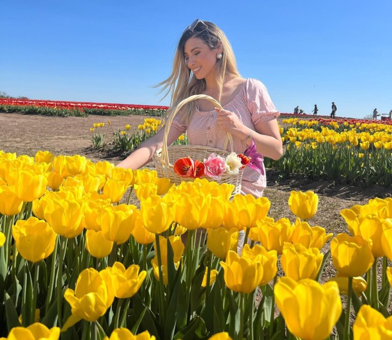 Un poema a las flores amarillas