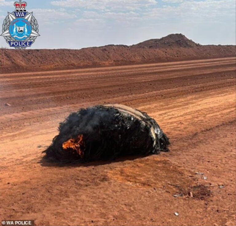 Encuentran posible objeto espacial en sitio minero de Australia