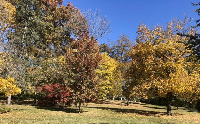 Estilo y moda del otoño 2025